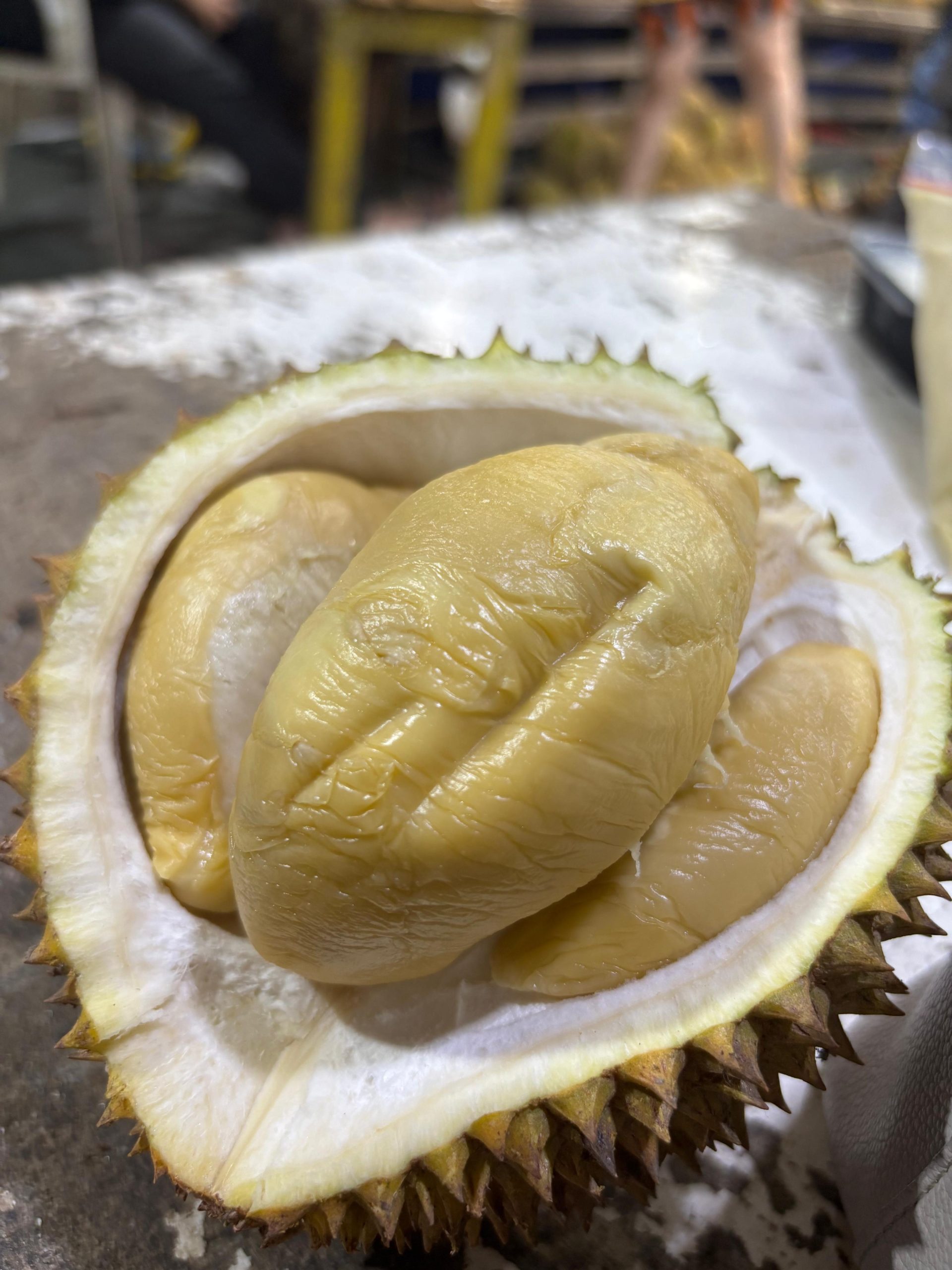 Buah Durian Segar